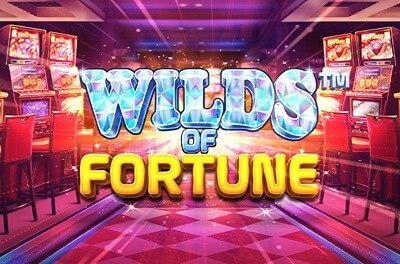 wilds of fortune slot logo