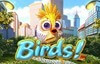 birds slot logo