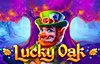 lucky oak slot logo