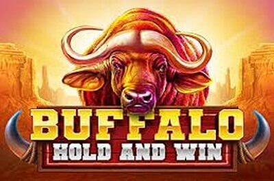 buffalo hold and win slot logo