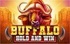 buffalo hold and win slot logo