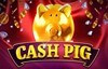 cash pig слот лого