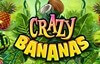 crazy bananas slot logo