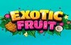 exotic fruit slot logo