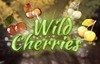 wild cherries слот лого