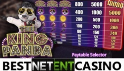 The King Panda slot