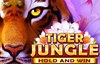 tiger jungle hold and win slot logo
