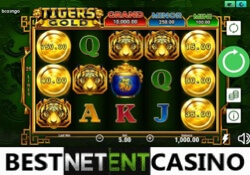 Tiger’s Gold Hold and Win pokie