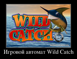 Слот Wild Catch