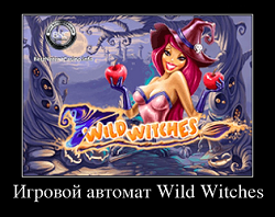 wild witches игровой автомат