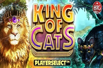 king of cats slot logo