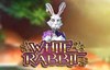 white rabbit слот лого