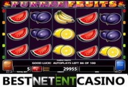 Purple Fruits slot