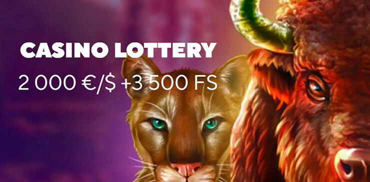 dazard casino lottery