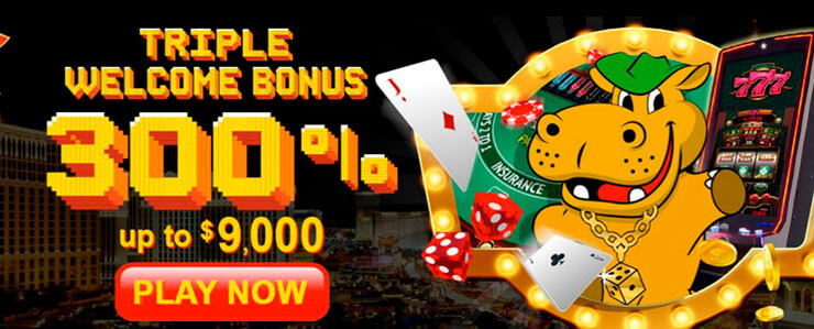 lucky hippo casino welcome bonus