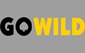 go wild casino logo