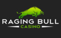 raging bull logo 