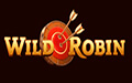 wild robin casino logo mini