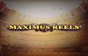 maximus reels slot logo