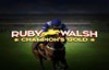 ruby walsh champions gold slot logo