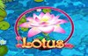 lotus слот лого