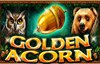 golden acorn slot logo