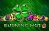 burning hot 6 reels slot logo