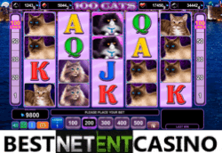 100 Cats pokie