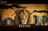safari слот лого