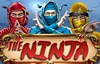 the ninja слот лого