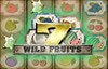 wild fruits слот лого