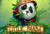 Little Panda