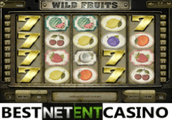 Игровой автомат Wild Fruits