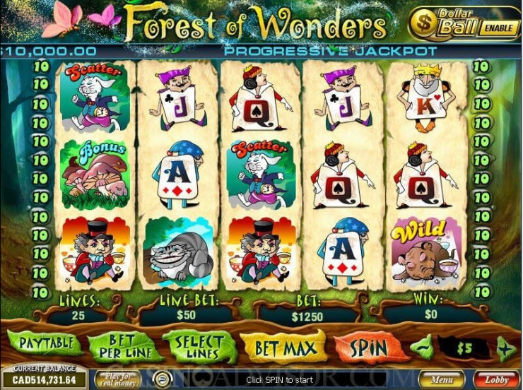 forest of wonders picture2