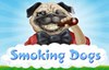 smoking dogs slot logo