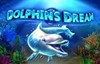 dolphins dream slot logo