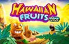 hawaiian fruits dice slot logo