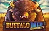buffalo dale grand ways slot logo