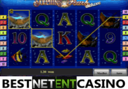 Dolphins pearl deluxe video slot