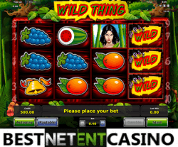 Wild Thing slot by Novomatic