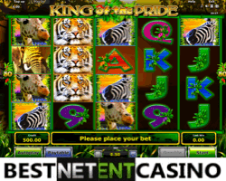 The King of the Pride pokie