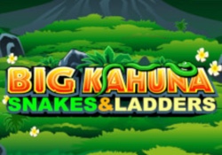 Big Kahuna Snakes Ladders