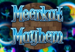 Meerkat Mayhem