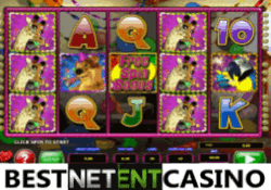 Wild bithday blast slot