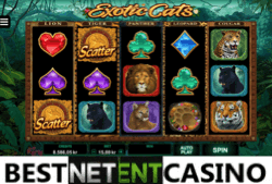 Exotic cats pokie