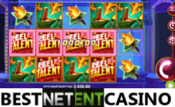 Reel talent pokie