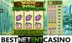 Wacky panda slot machine