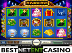 Cats and Cash video slot