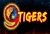 9 Tigers