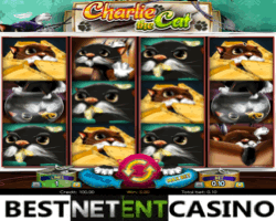 Charlie the cat игровой автомат играть на деньги в казино россии